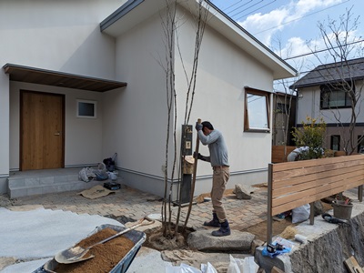 植栽とオーダー門柱