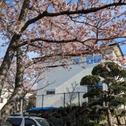 桜が見える窓の外観