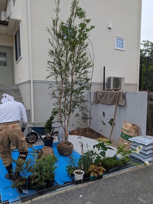 神戸市須磨区で植栽工事