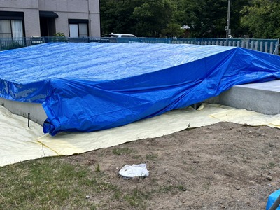 床シート養生